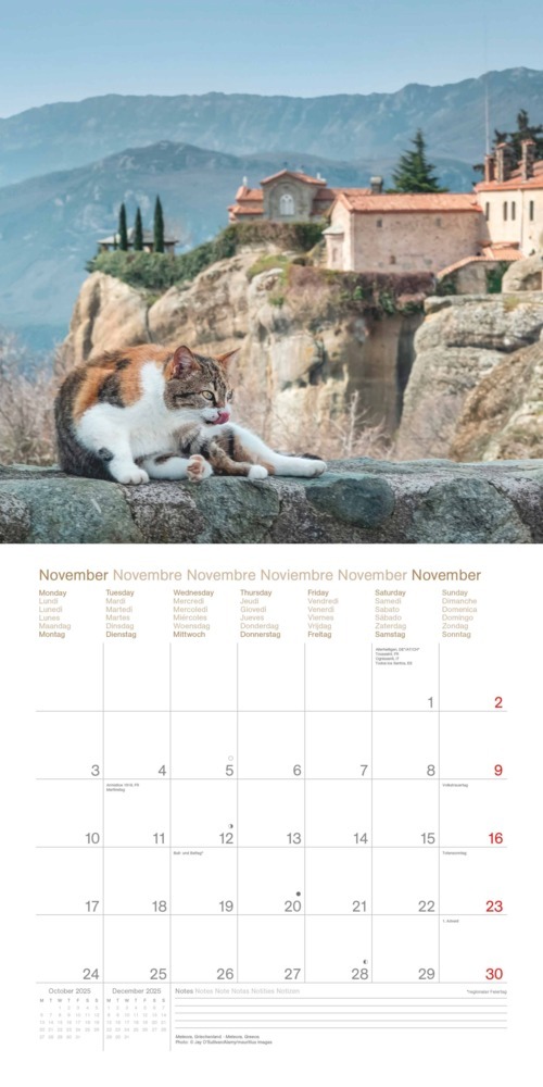 Bild: 4002725987945 | N NEUMANNVERLAGE - Cats Around the World 2025 Broschürenkalender,...