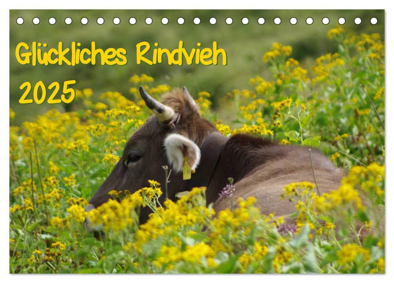 Cover: 9783435482771 | Glückliches Rindvieh 2025 (Tischkalender 2025 DIN A5 quer),...