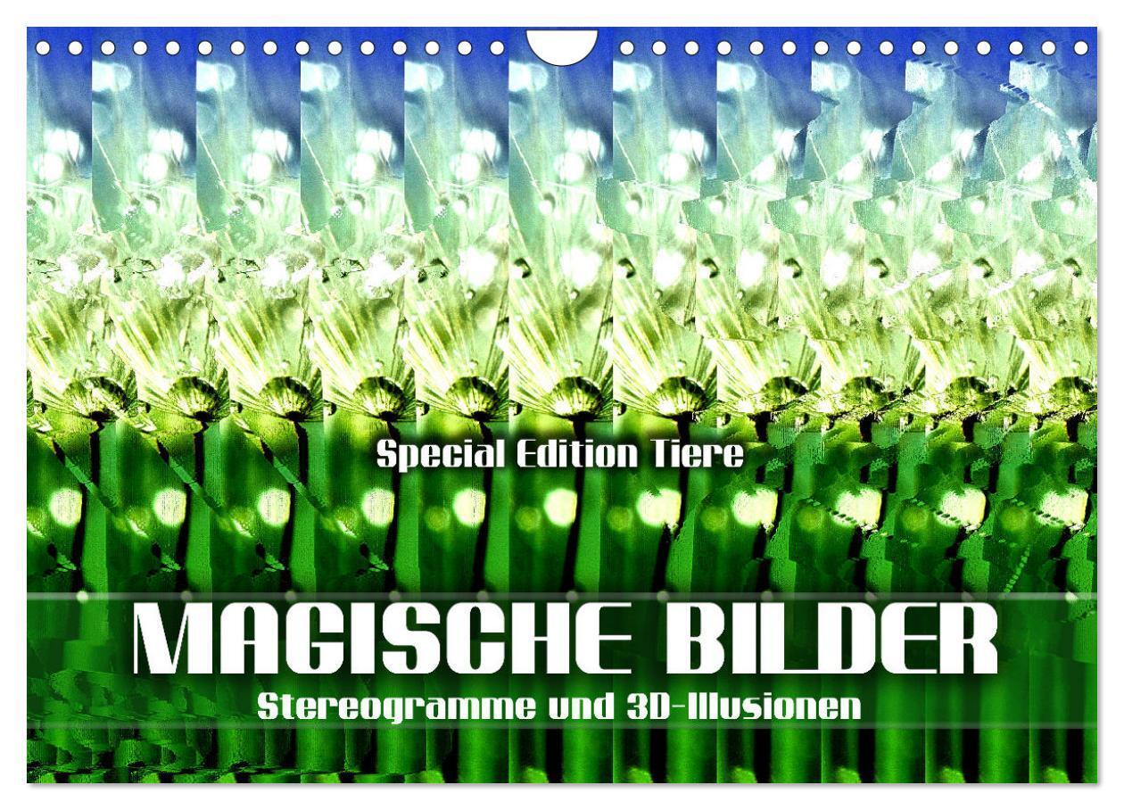 Cover: 9783383922633 | Magische Bilder - Stereogramme und 3D-Illusionen (Wandkalender 2025...