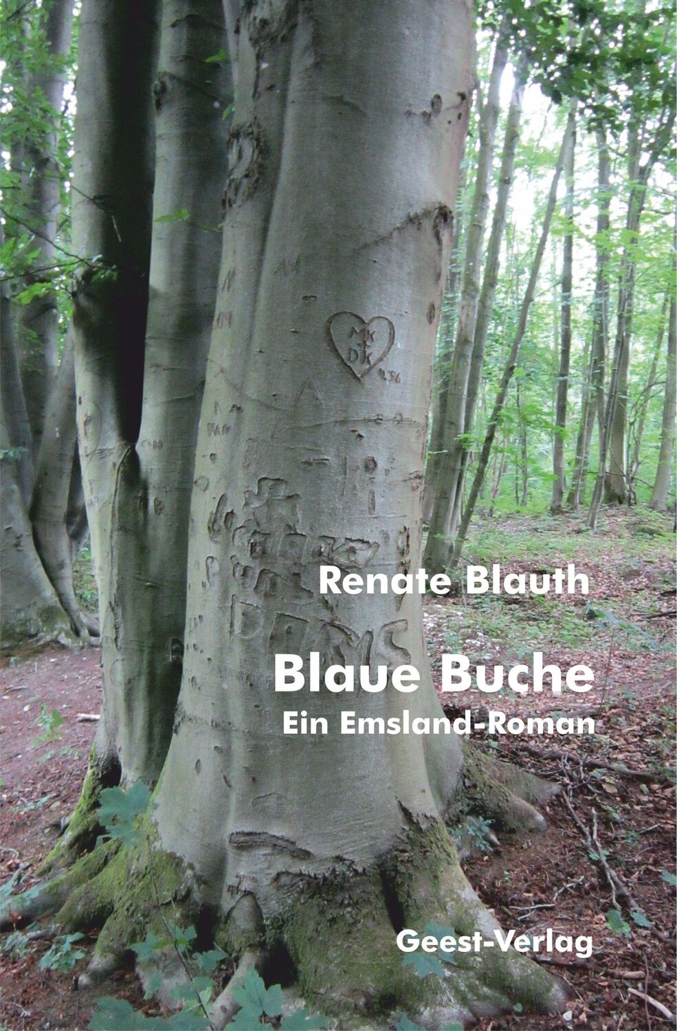 Cover: 9783866859555 | Blaue Buche | Ein Emsland-Roman | Renate Blauth | Taschenbuch | 440 S.