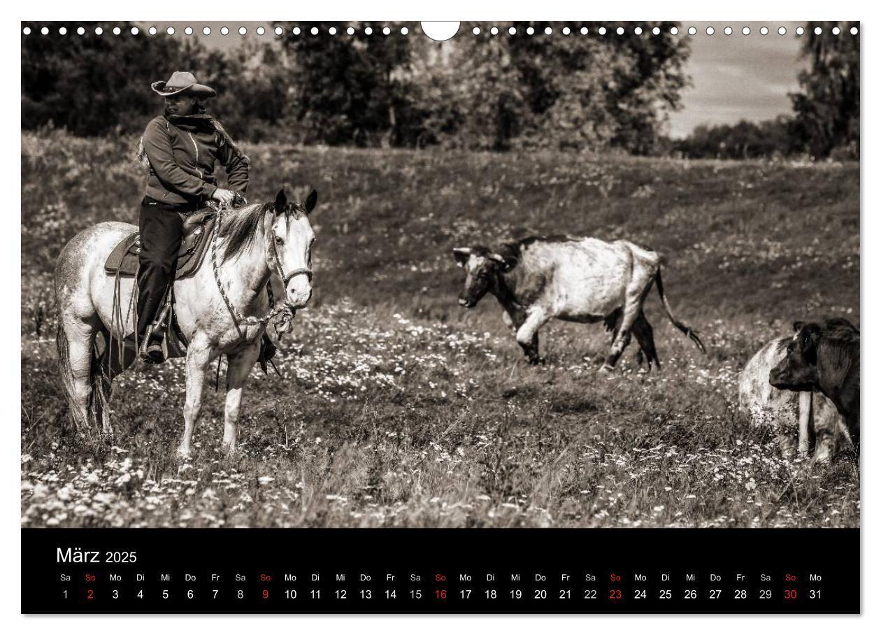 Bild: 9783435569656 | Westernreiten (Wandkalender 2025 DIN A3 quer), CALVENDO Monatskalender