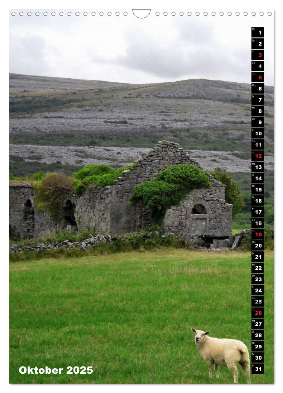 Bild: 9783457082591 | Traumhaftes Irland (Wandkalender 2025 DIN A3 hoch), CALVENDO...