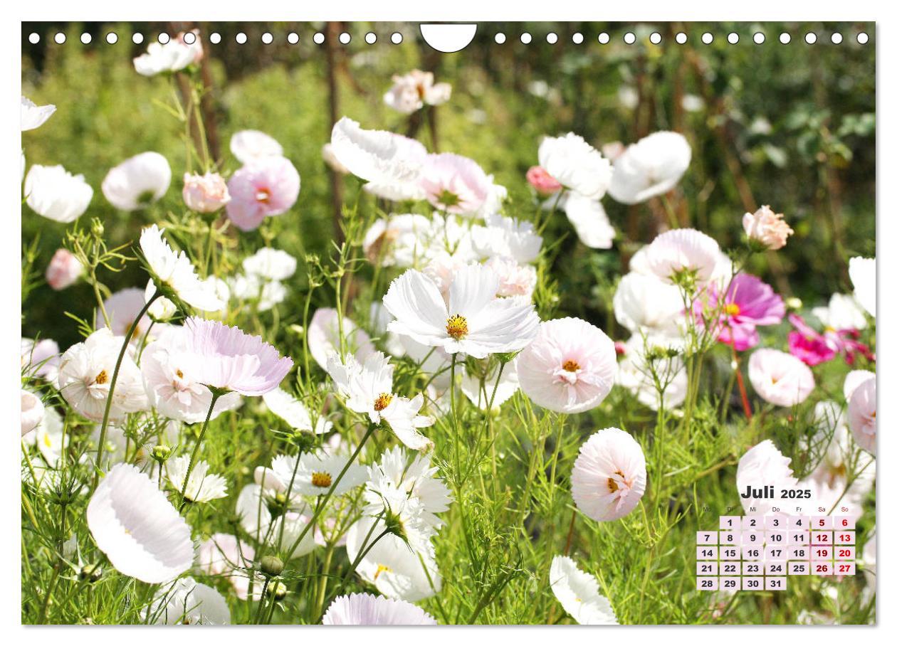 Bild: 9783383989384 | Urlaub im Garten (Wandkalender 2025 DIN A4 quer), CALVENDO...