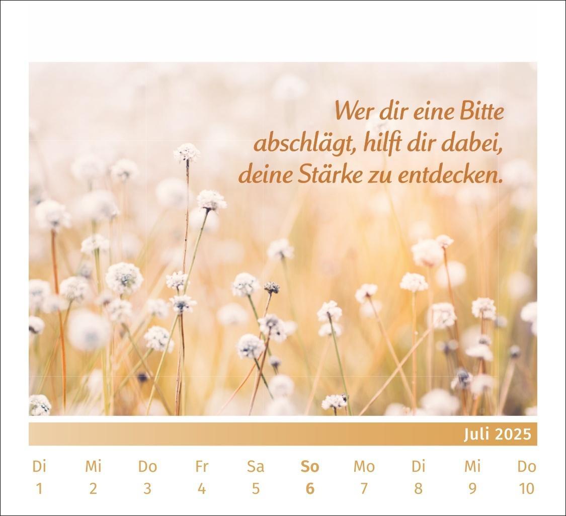 Bild: 9783840196072 | PAL - Der Lebensfreude Tischkalender 2025 | Kalender | Spiralbindung