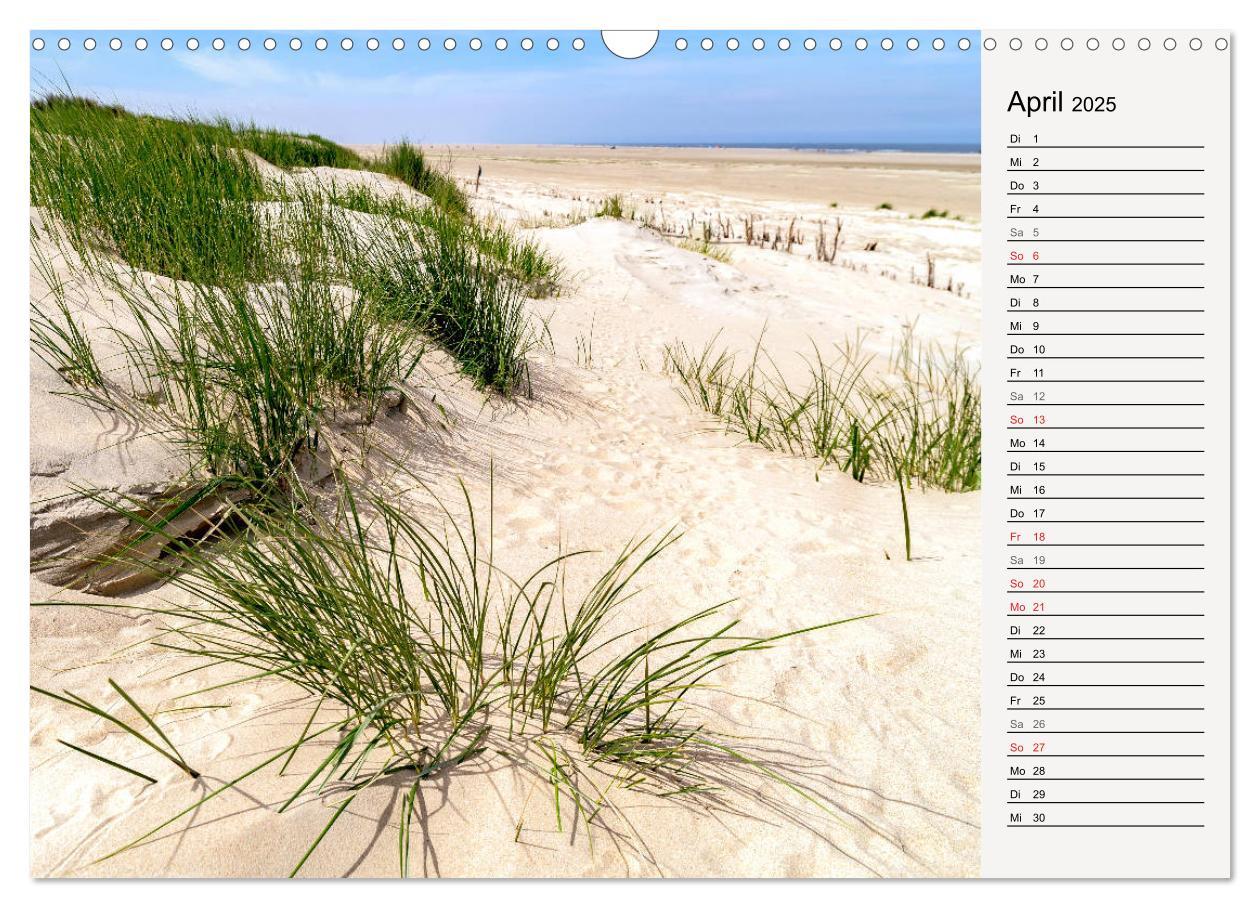 Bild: 9783435259274 | BORKUM Geburtstagskalender mit Planerfunktion (Wandkalender 2025...