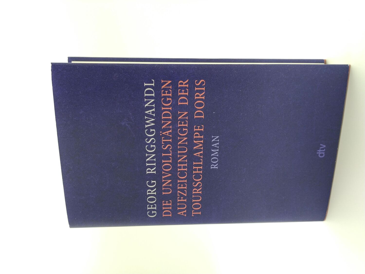 Bild: 9783423282871 | Die unvollständigen Aufzeichnungen der Tourschlampe Doris | Buch