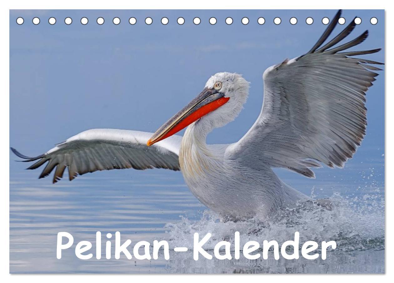 Cover: 9783435698523 | Pelikan-Kalender (Tischkalender 2025 DIN A5 quer), CALVENDO...