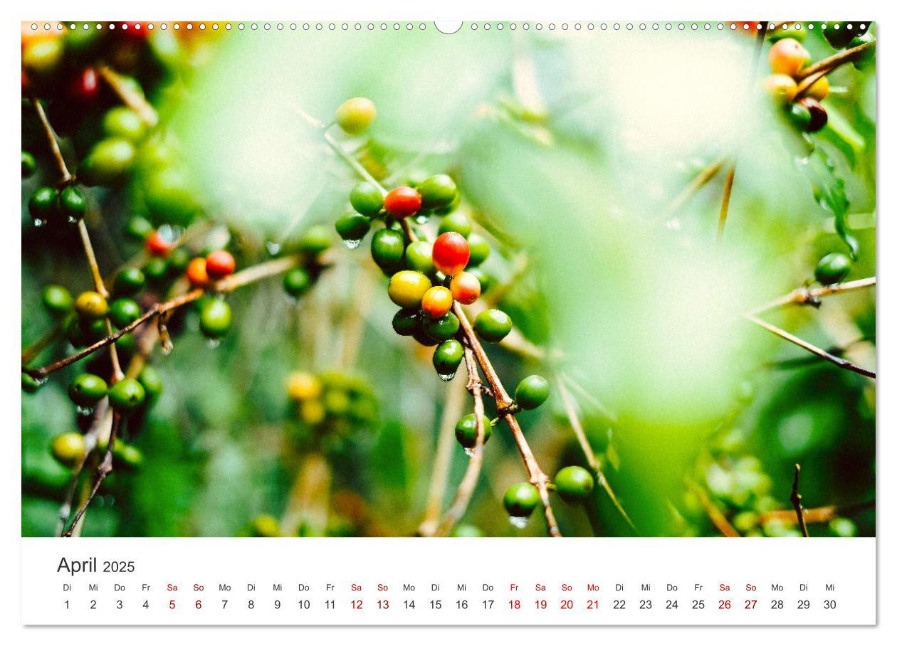 Bild: 9783383941597 | Kunterbuntes Guatemala (Wandkalender 2025 DIN A2 quer), CALVENDO...