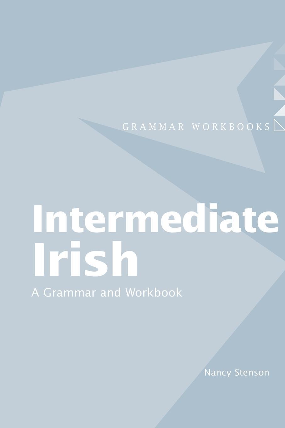 Cover: 9780415410427 | Intermediate Irish: A Grammar and Workbook | Nancy Stenson | Buch