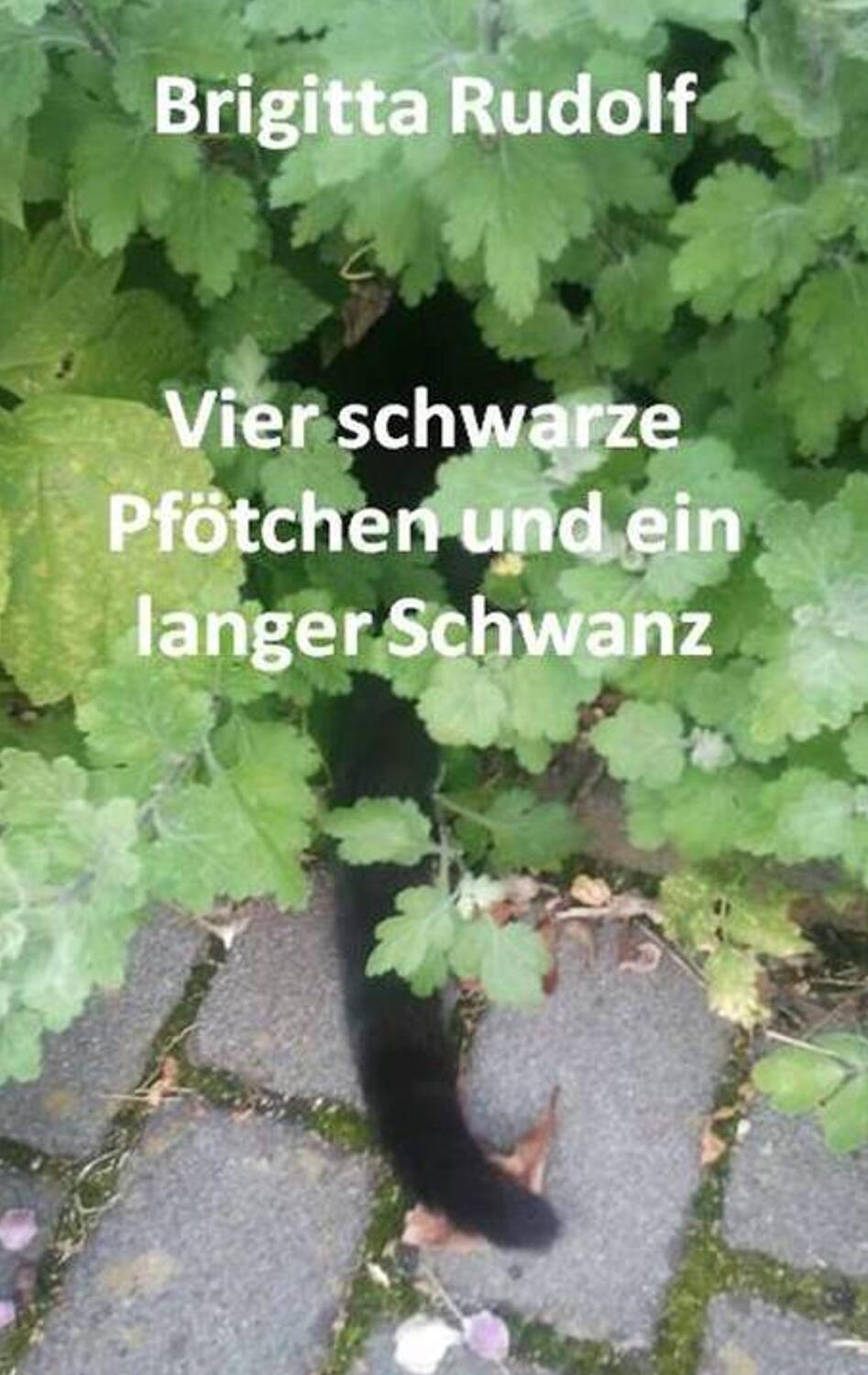 Cover: 9783752888072 | Vier schwarze Pfötchen und ein langer Schwanz | Brigitta Rudolf | Buch