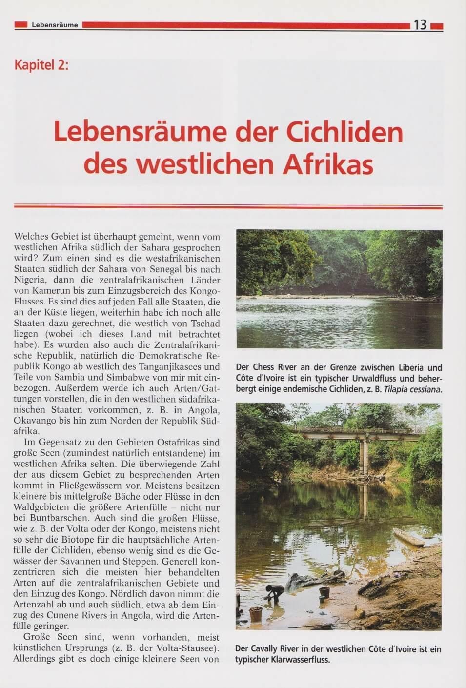 Bild: 9783866590007 | Die Cichliden des westlichen Afrikas | Anton Lamboj | Buch | Deutsch