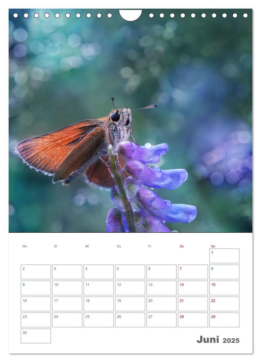 Bild: 9783435917648 | Helden in der Natur (Wandkalender 2025 DIN A4 hoch), CALVENDO...