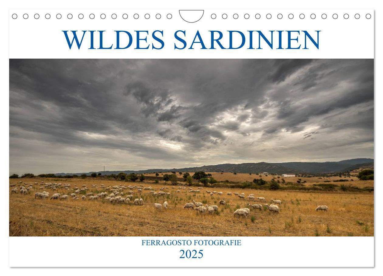 Cover: 9783435404049 | Wildes Sardinien 2025 (Wandkalender 2025 DIN A4 quer), CALVENDO...