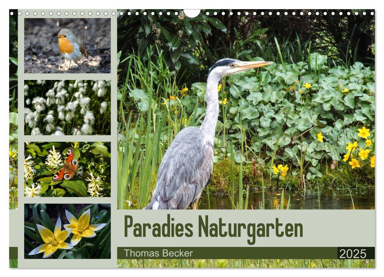 Cover: 9783435466269 | Paradies Naturgarten (Wandkalender 2025 DIN A3 quer), CALVENDO...