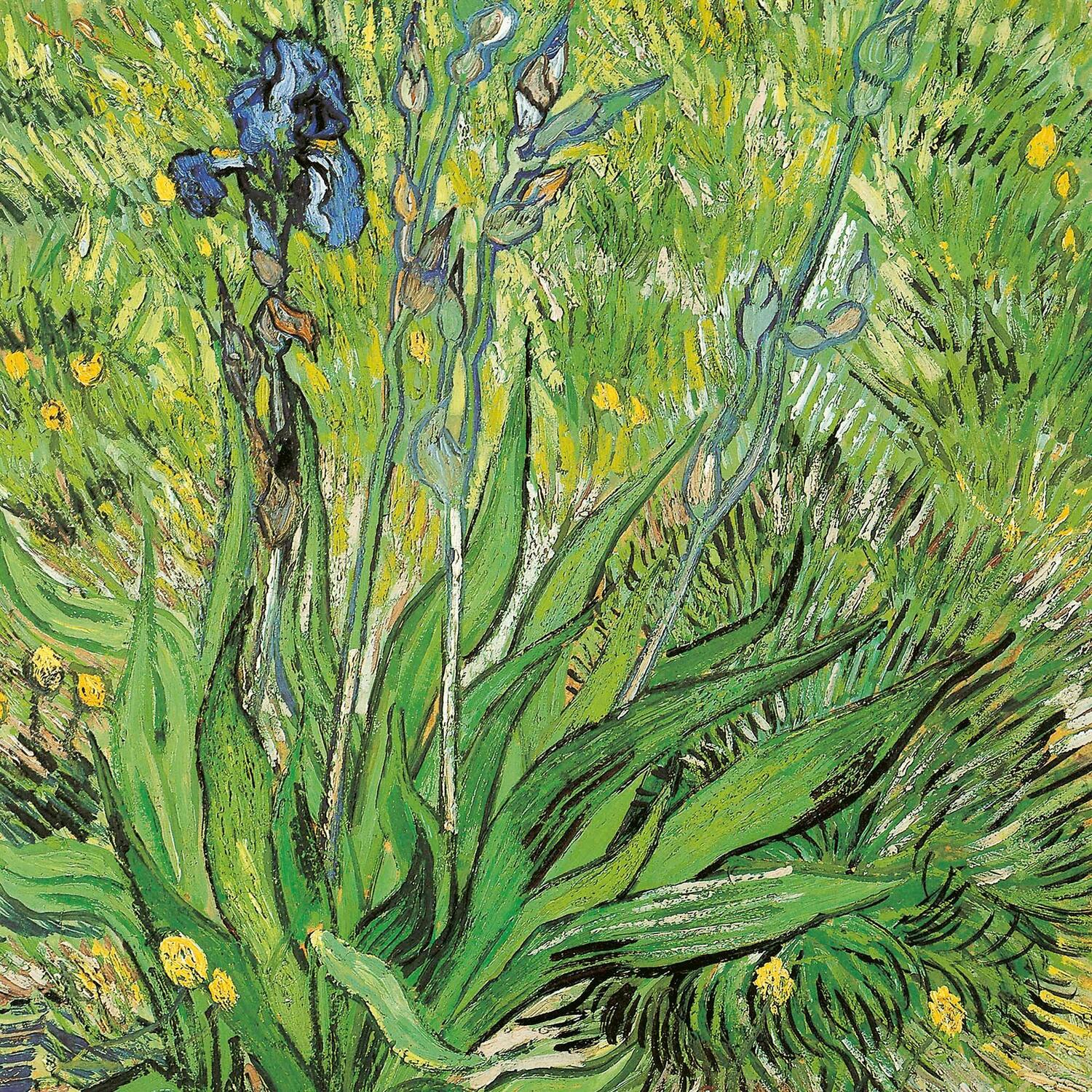 Bild: 9783959294362 | van Gogh - From Vincent's Garden 2025 | Kalender 2025 | Kalender