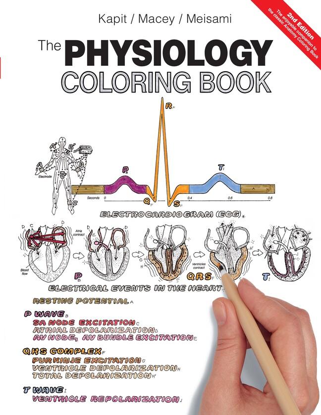 Cover: 9780321036636 | The Physiology Coloring Book | Wynn Kapit (u. a.) | Taschenbuch | 1999