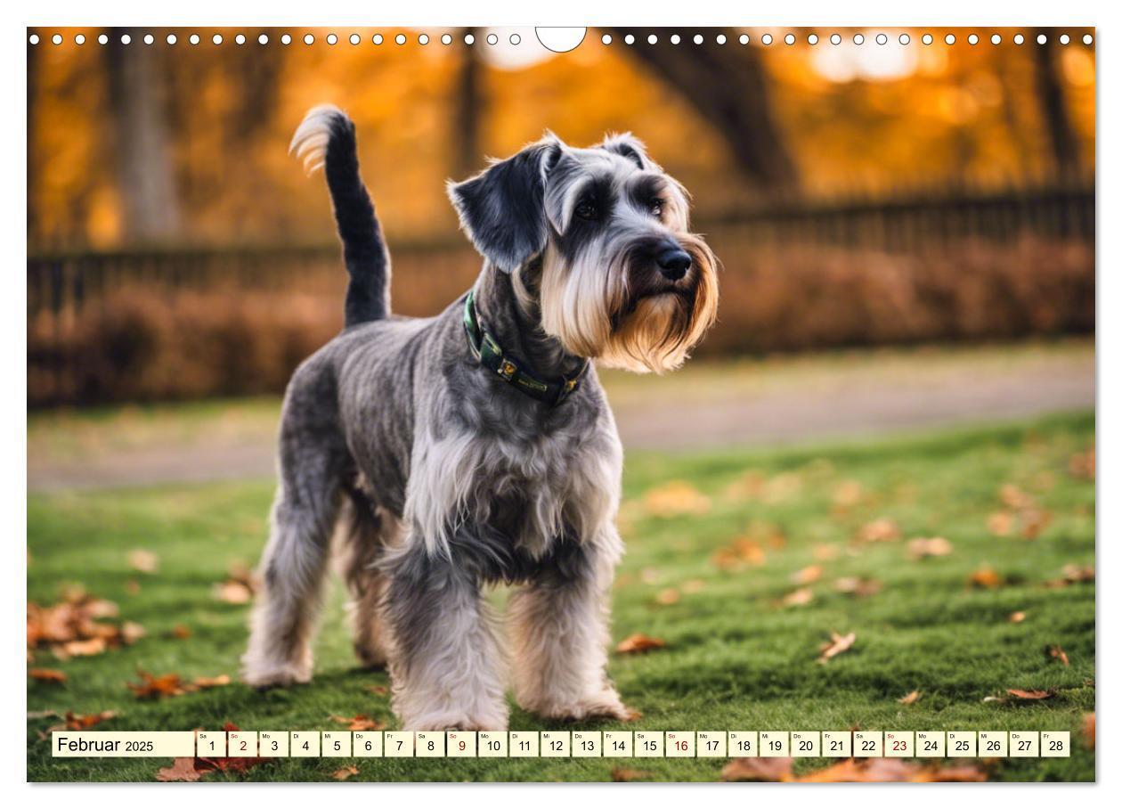 Bild: 9783457036914 | Schnauzer - vielseitige Allrounder (Wandkalender 2025 DIN A3 quer),...