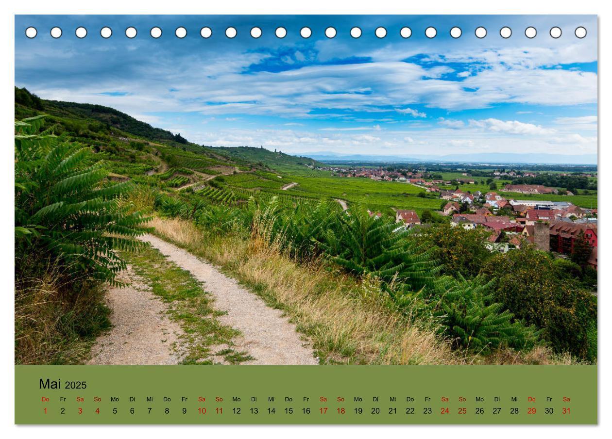 Bild: 9783435348435 | Die Weinstaße im Elsass (Tischkalender 2025 DIN A5 quer), CALVENDO...