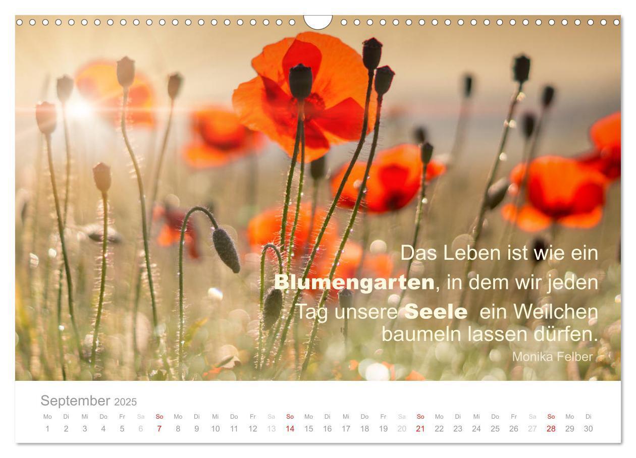 Bild: 9783435480746 | Zauberhafte Sprüche - Bunte Seelenblüten (Wandkalender 2025 DIN A3...