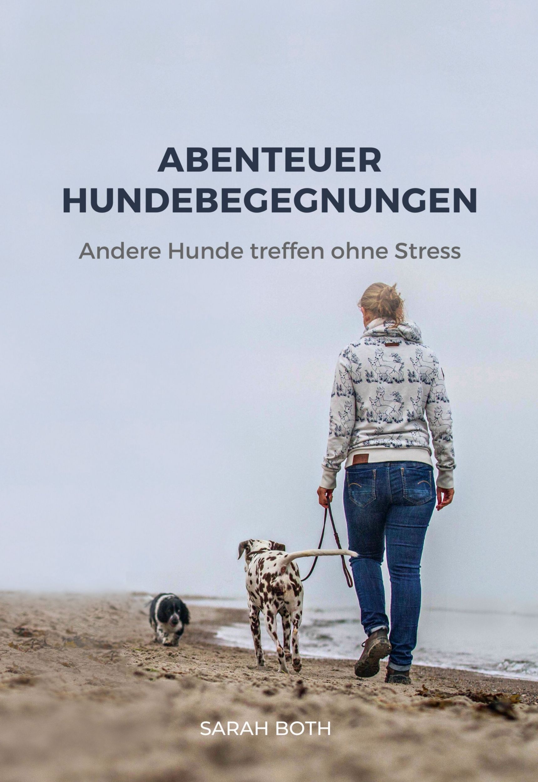 Cover: 9783910256026 | Abenteuer Hundebegegnungen | Andere Hunde treffen ohne Stress | Both