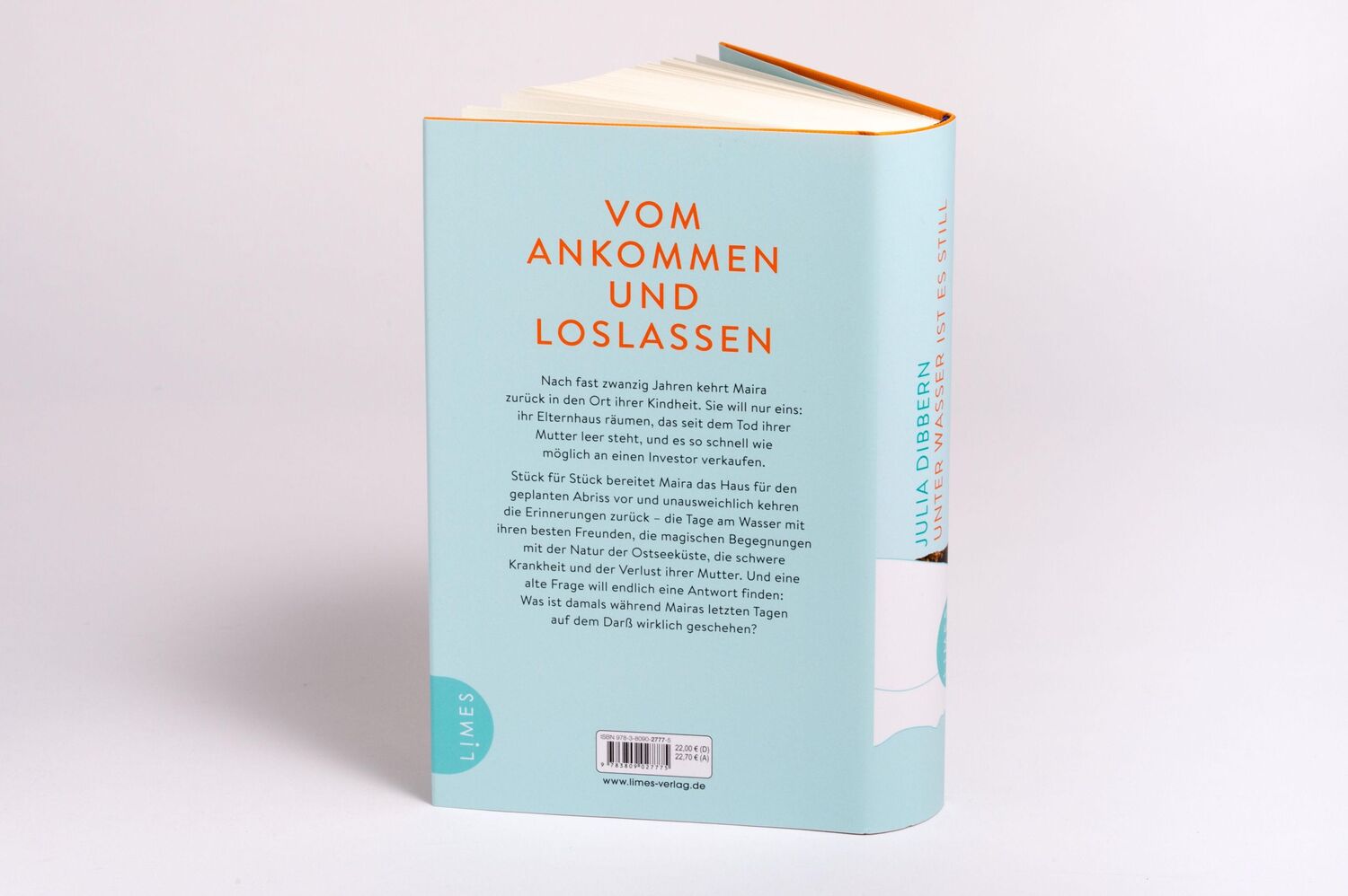 Bild: 9783809027775 | Unter Wasser ist es still | Roman | Julia Dibbern | Buch | 384 S.