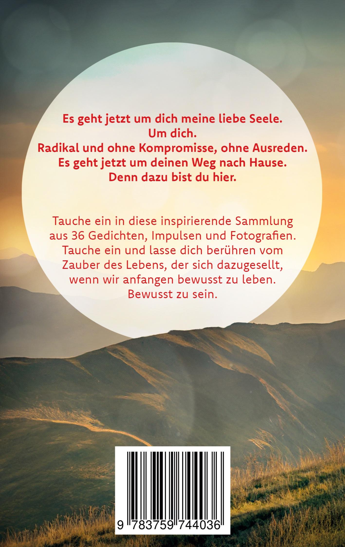 Rückseite: 9783759744036 | Bewusst Sein | im Zauber des Lebens | Livia Schwander | Taschenbuch