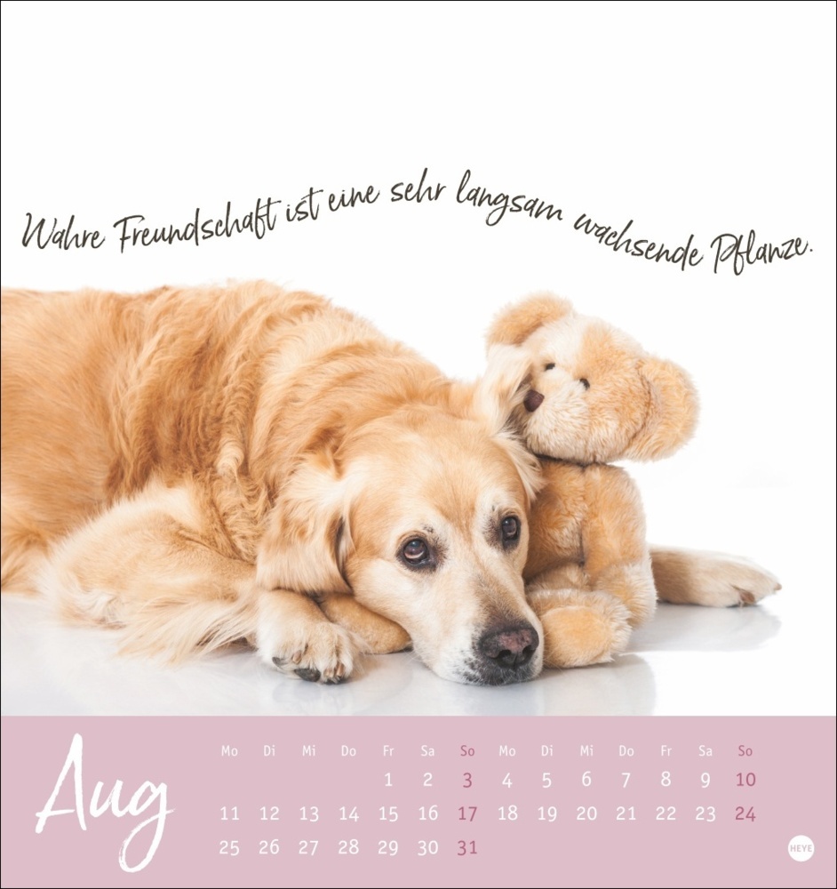 Bild: 9783756407064 | Ziemlich beste Freunde Postkartenkalender 2025 - Für immer dein | 2025