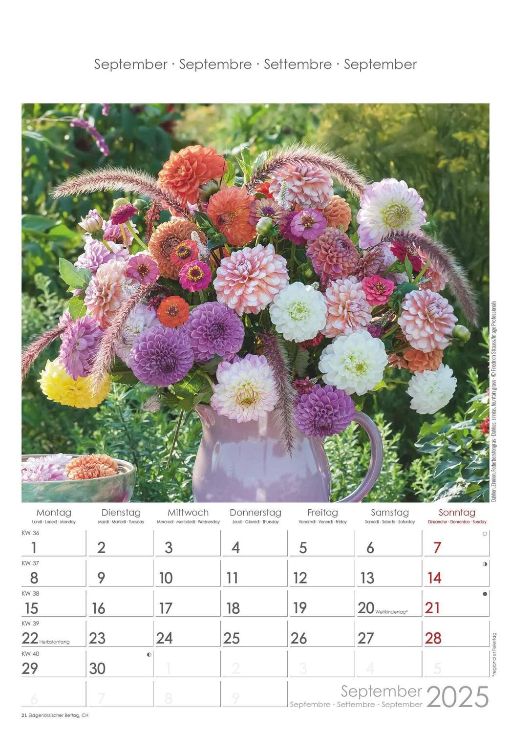 Bild: 4251732341008 | Blumen 2025 - Bildkalender 23,7x34 cm - Kalender mit Platz für...