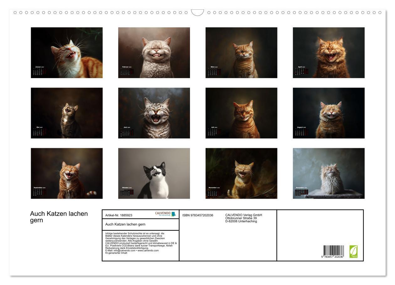 Bild: 9783457202036 | Auch Katzen lachen gern (Wandkalender 2025 DIN A2 quer), CALVENDO...