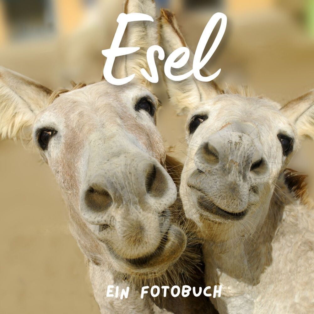 Cover: 9783750514072 | Esel | Ein Fotobuch | Bibi Hübsch | Taschenbuch | 42 S. | Deutsch