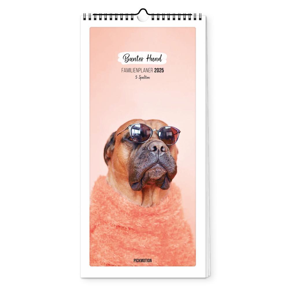 Cover: 4251781179461 | Familienplaner 2025 - Bunter Hund | Pickmotion | Kalender | Deutsch