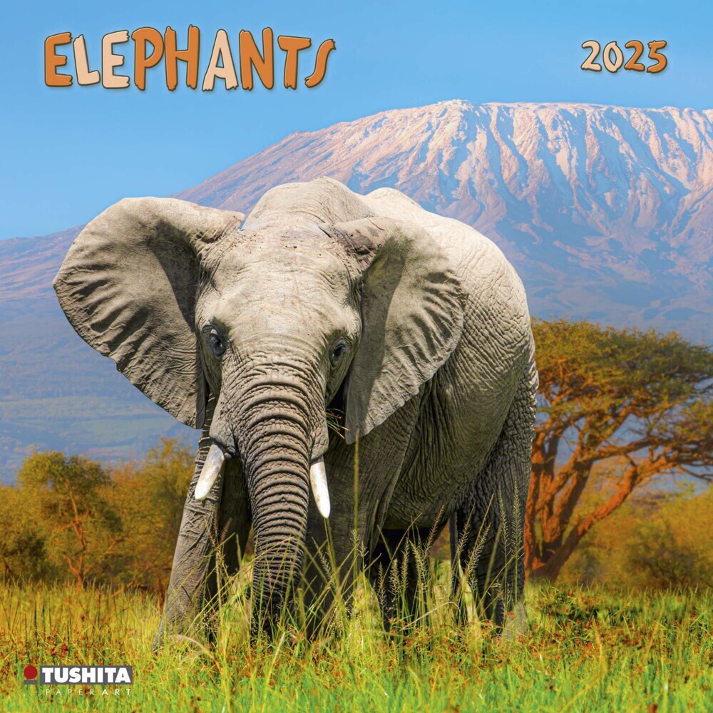 Cover: 9783959294010 | Elephant 2025 | Kalender 2025 | Kalender | Drahtheftung | 28 S. | 2025