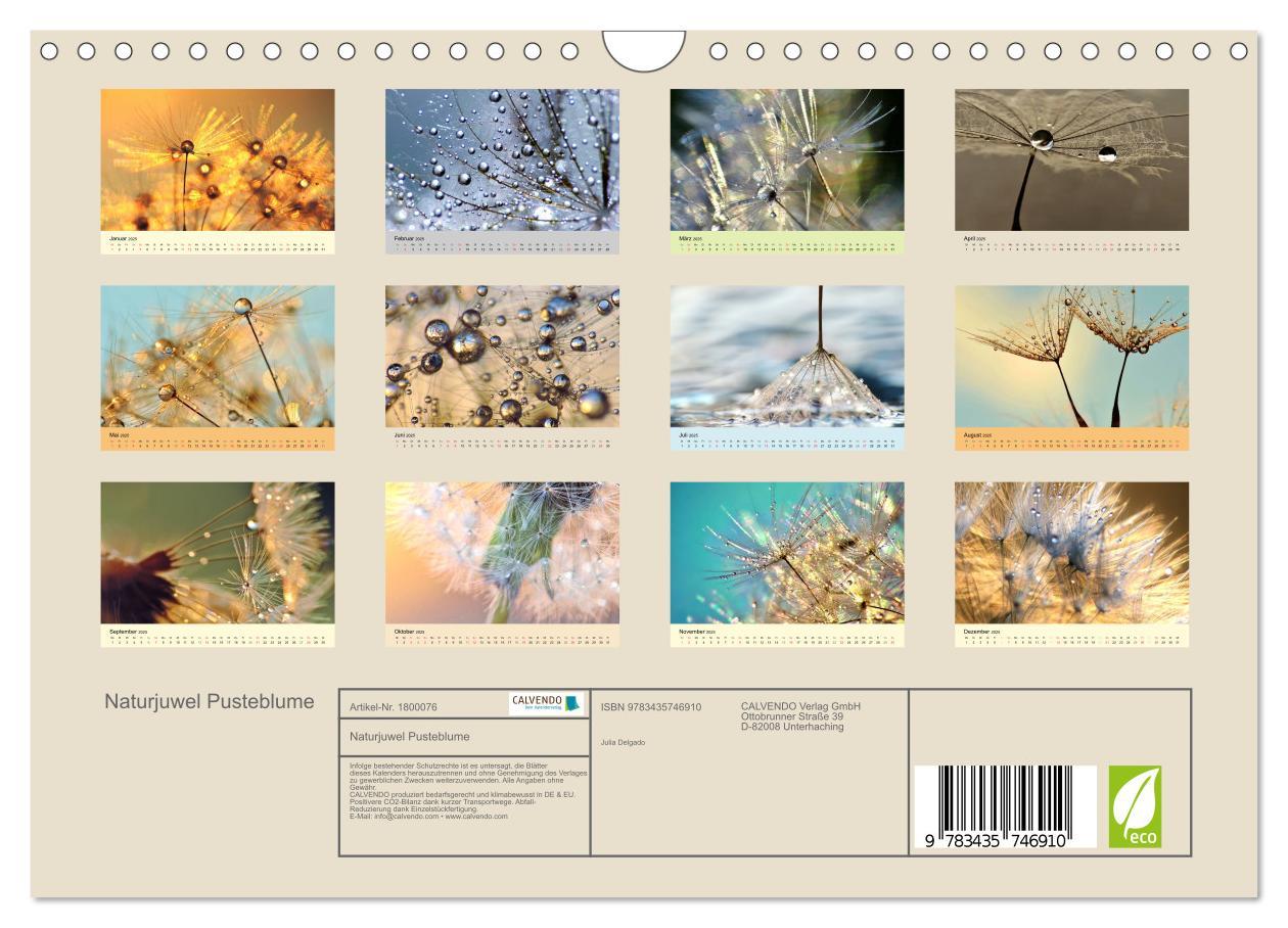 Bild: 9783435746910 | Naturjuwel Pusteblume (Wandkalender 2025 DIN A4 quer), CALVENDO...