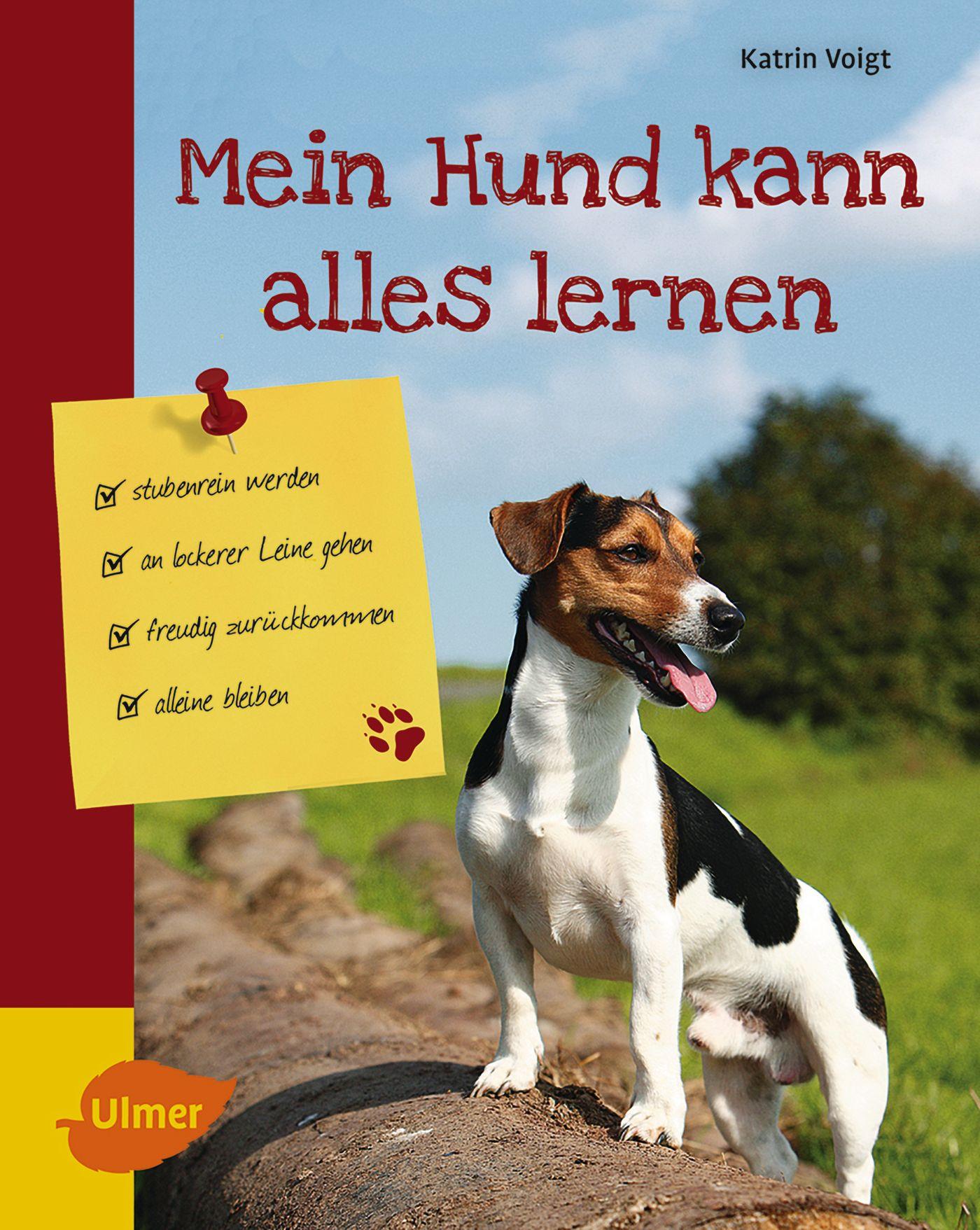 Cover: 9783800112920 | Mein Hund kann alles lernen | Katrin Voigt | Buch | 253 S. | Deutsch