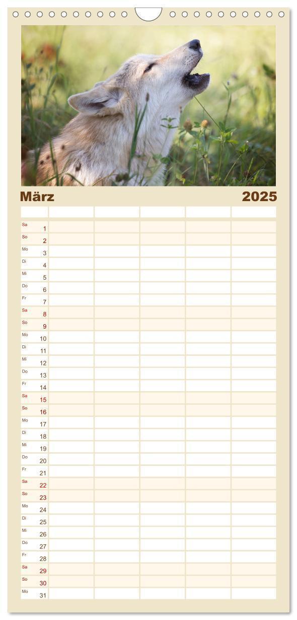 Bild: 9783457117187 | Familienplaner 2025 - Wolfshunde 2025 mit 5 Spalten (Wandkalender,...