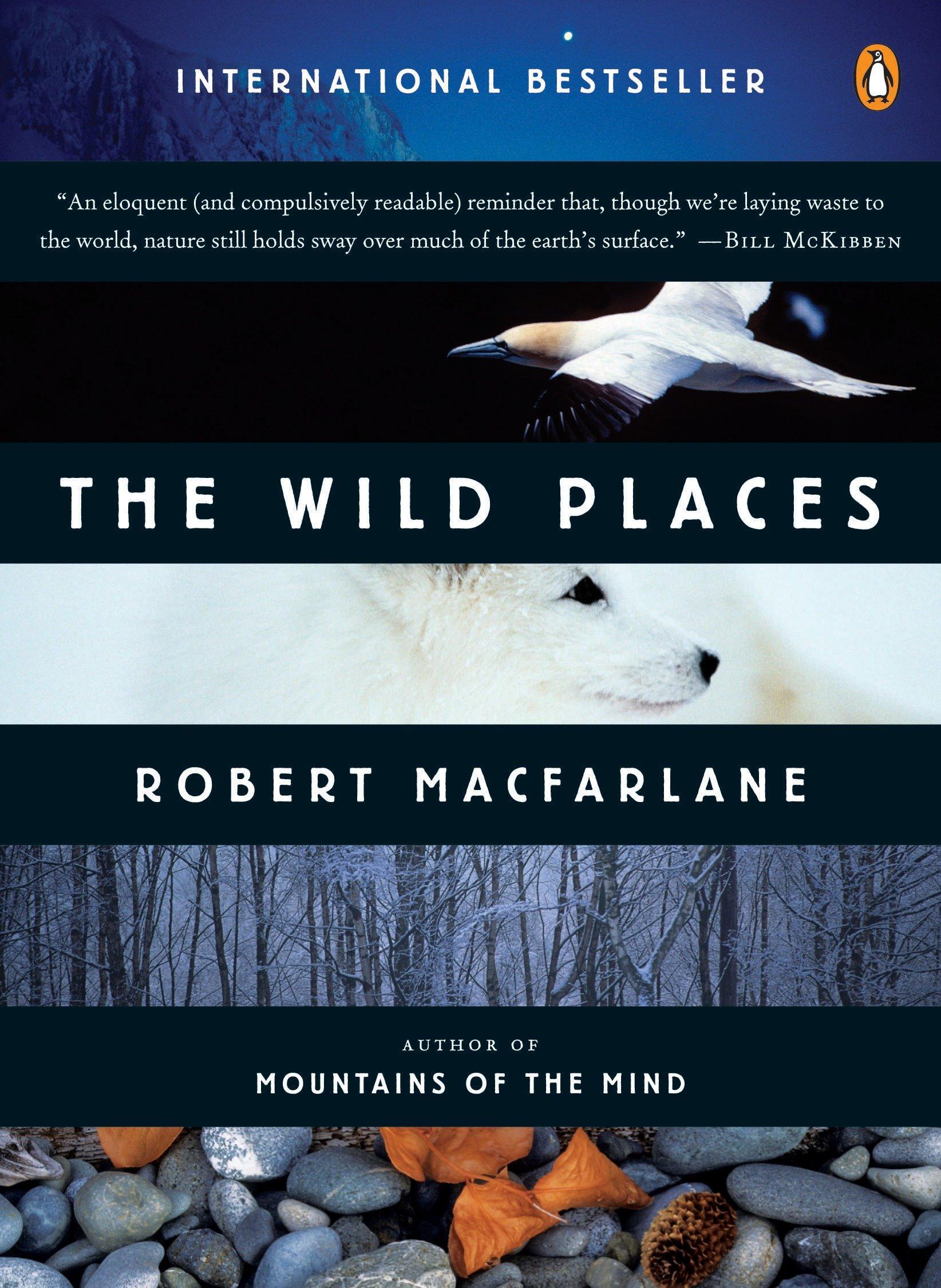 Cover: 9780143113935 | The Wild Places | Robert Macfarlane | Taschenbuch | Englisch | 2008