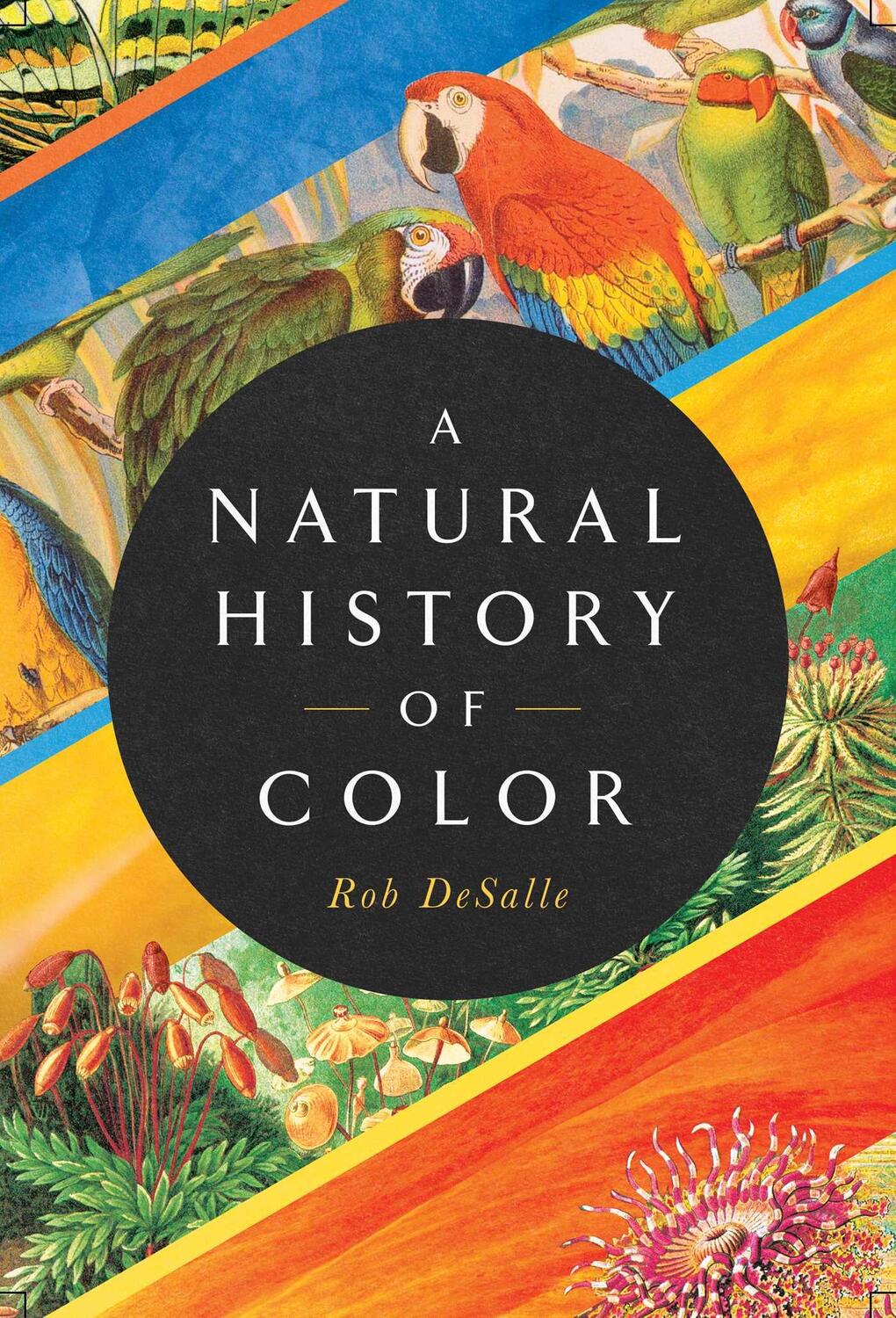 Cover: 9781643134420 | A Natural History of Color | Rob Desalle (u. a.) | Buch | Englisch