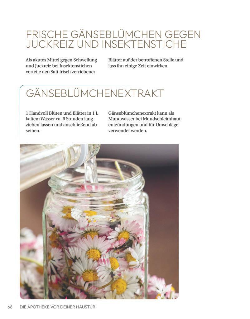 Bild: 9783910801110 | Die Apotheke vor deiner Haustür | smarticular Verlag | Taschenbuch