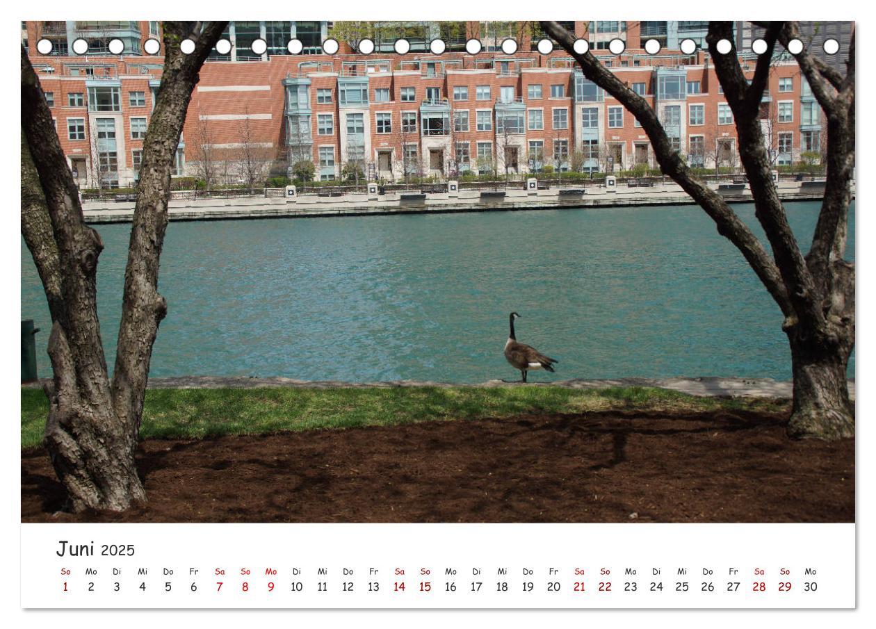 Bild: 9783435275151 | beeindruckendes Chicago (Tischkalender 2025 DIN A5 quer), CALVENDO...