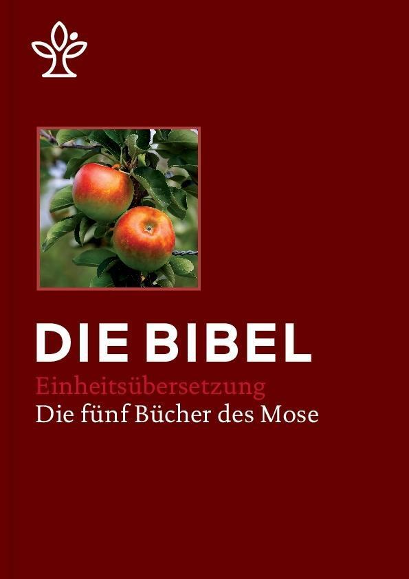 Bild: 9783920609553 | Bibel in 5 Einzelbüchern in Geschenkkassette, Großdruck | Buch | 2017