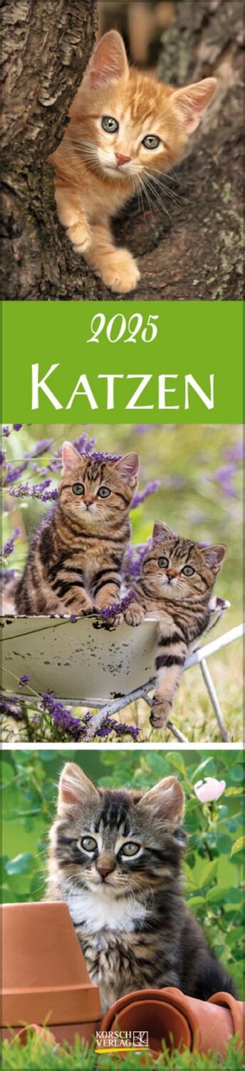 Cover: 9783731877301 | Katzen Langplaner 2025 | Langplaner | Verlag Korsch | Kalender | 13 S.