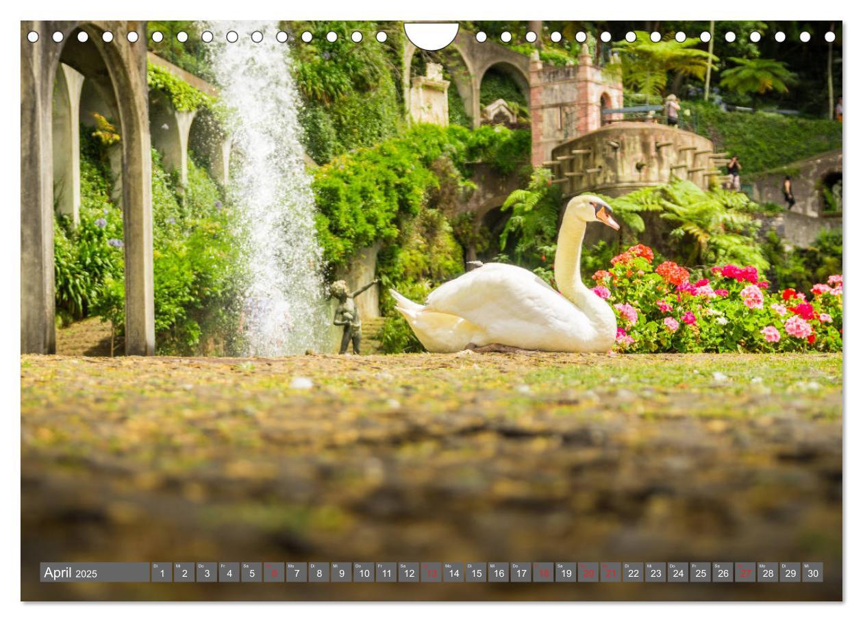 Bild: 9783435223114 | Madeira - Insel der Blumen 2025 (Wandkalender 2025 DIN A4 quer),...