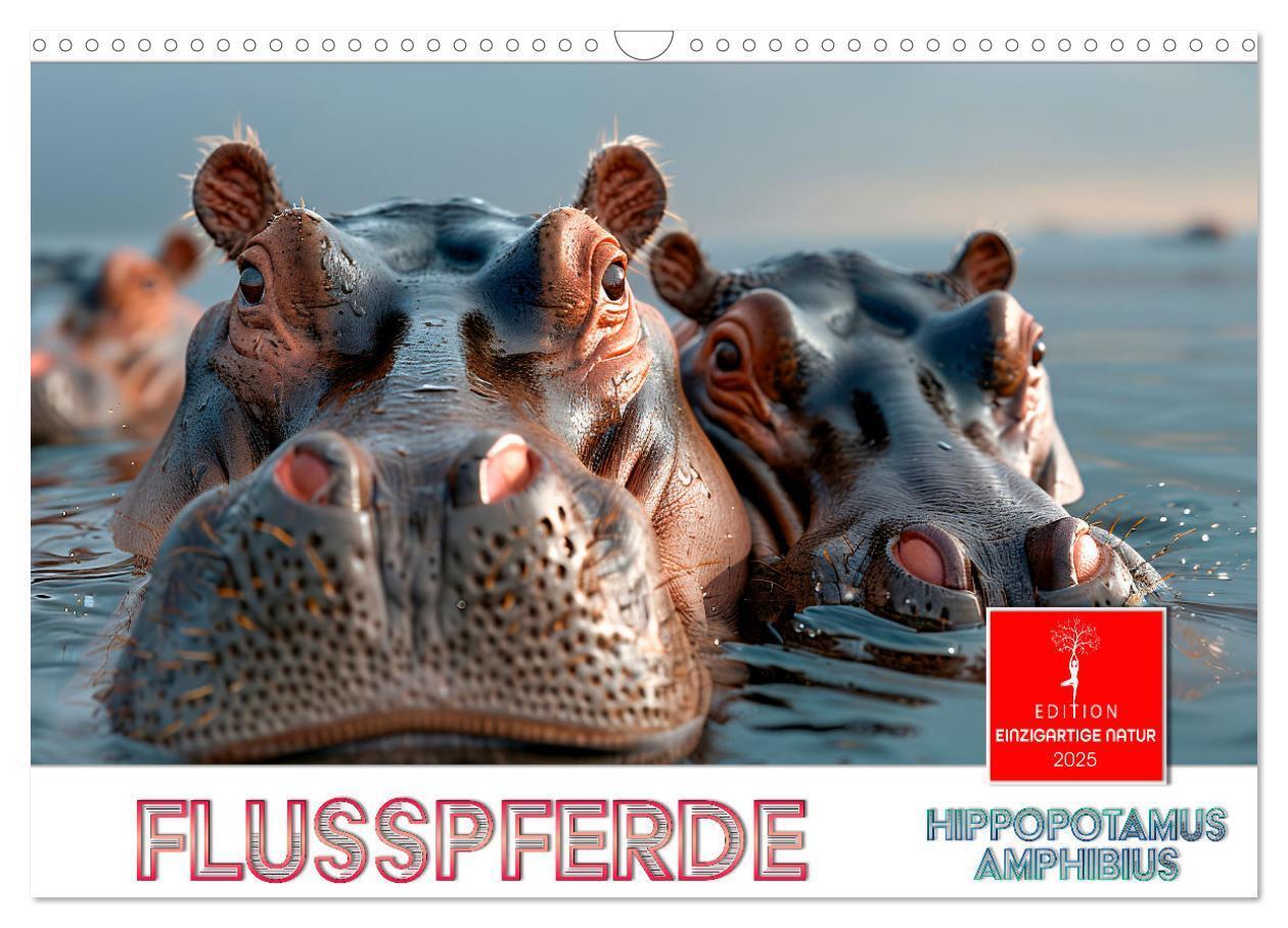 Cover: 9783457171899 | Flusspferde - Hippopotamus amphibius (Wandkalender 2025 DIN A3...