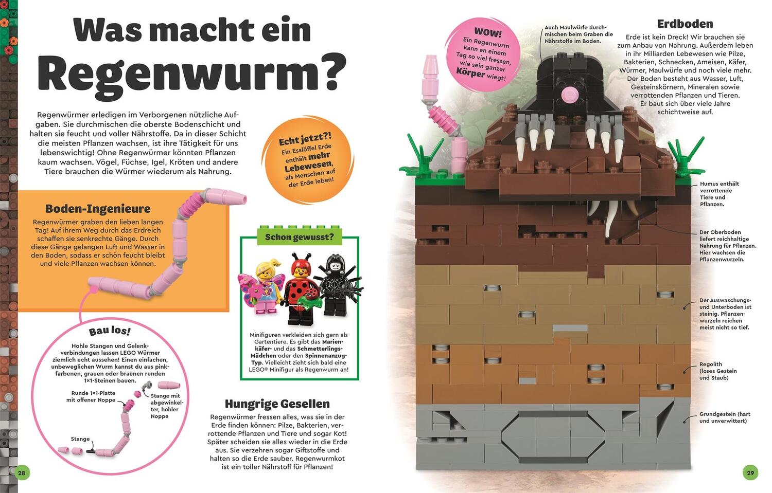 Bild: 9783831048083 | LEGO® Entdecke die Erde | Jennifer Swanson | Buch | 144 S. | Deutsch