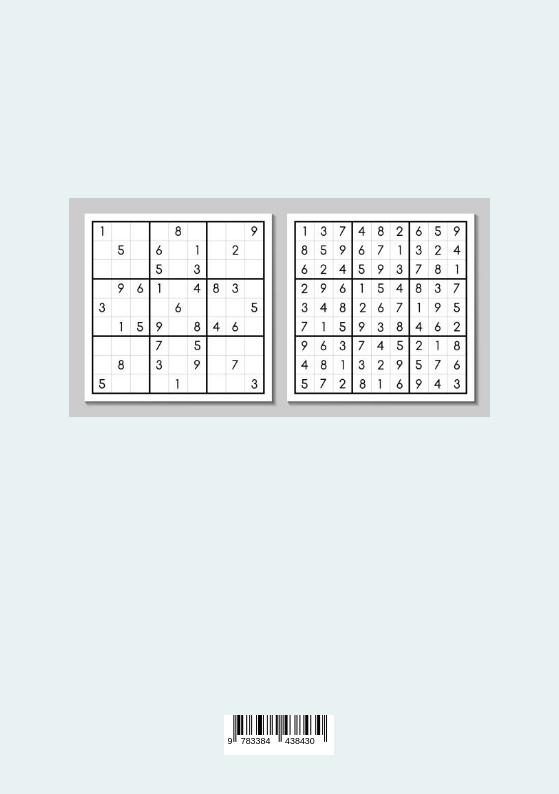 Rückseite: 9783384438430 | Big Sudoku - das große Sudoku Buch | Stufe 1-5 | Dave Red | Buch