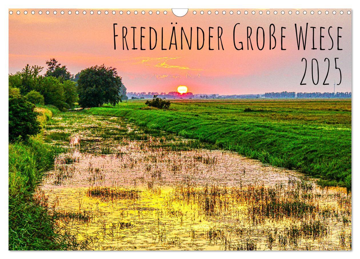 Cover: 9783383982484 | Friedländer Große Wiese (Wandkalender 2025 DIN A3 quer), CALVENDO...